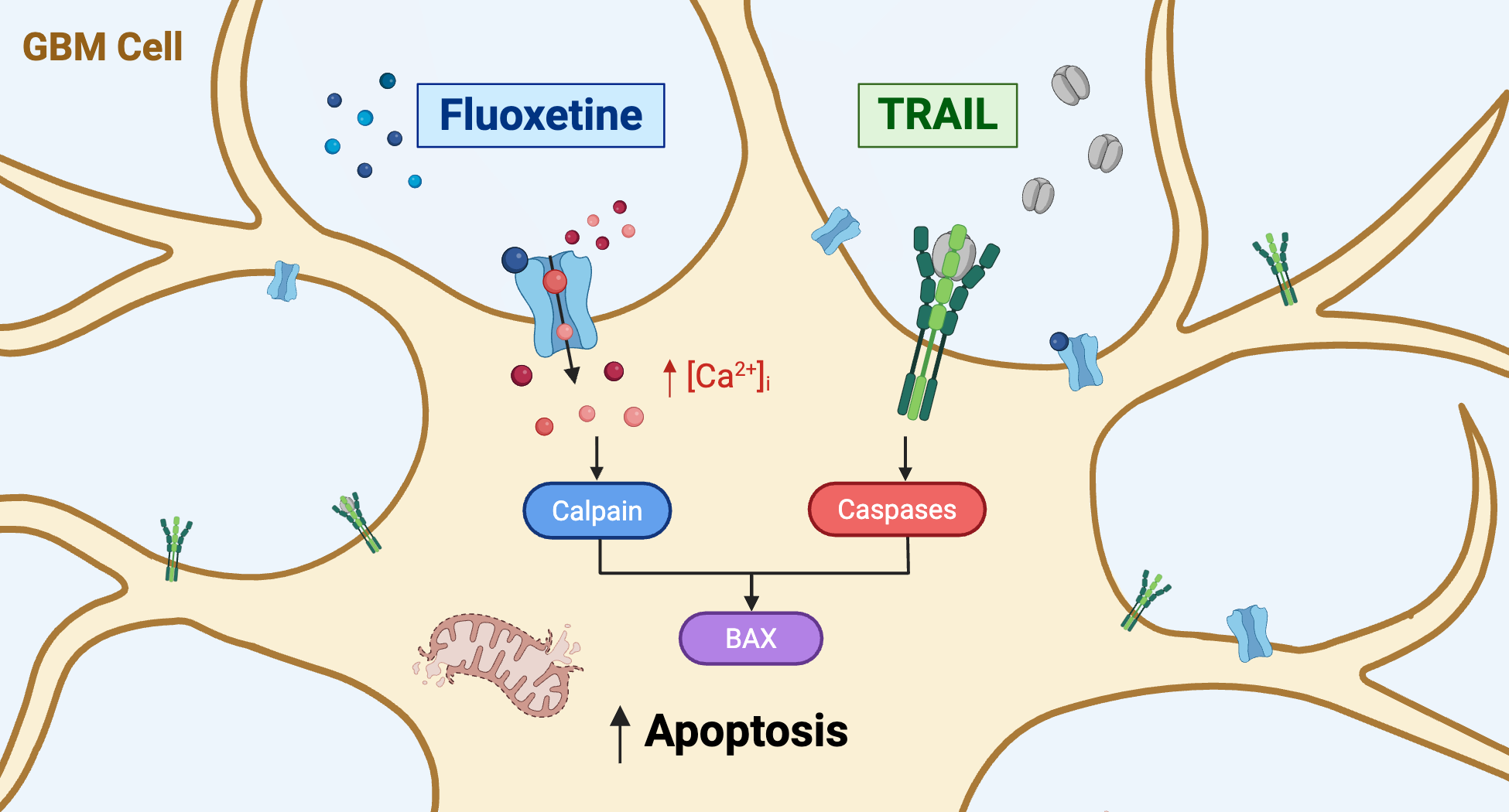 ACS Omega 2026 graphical abstract