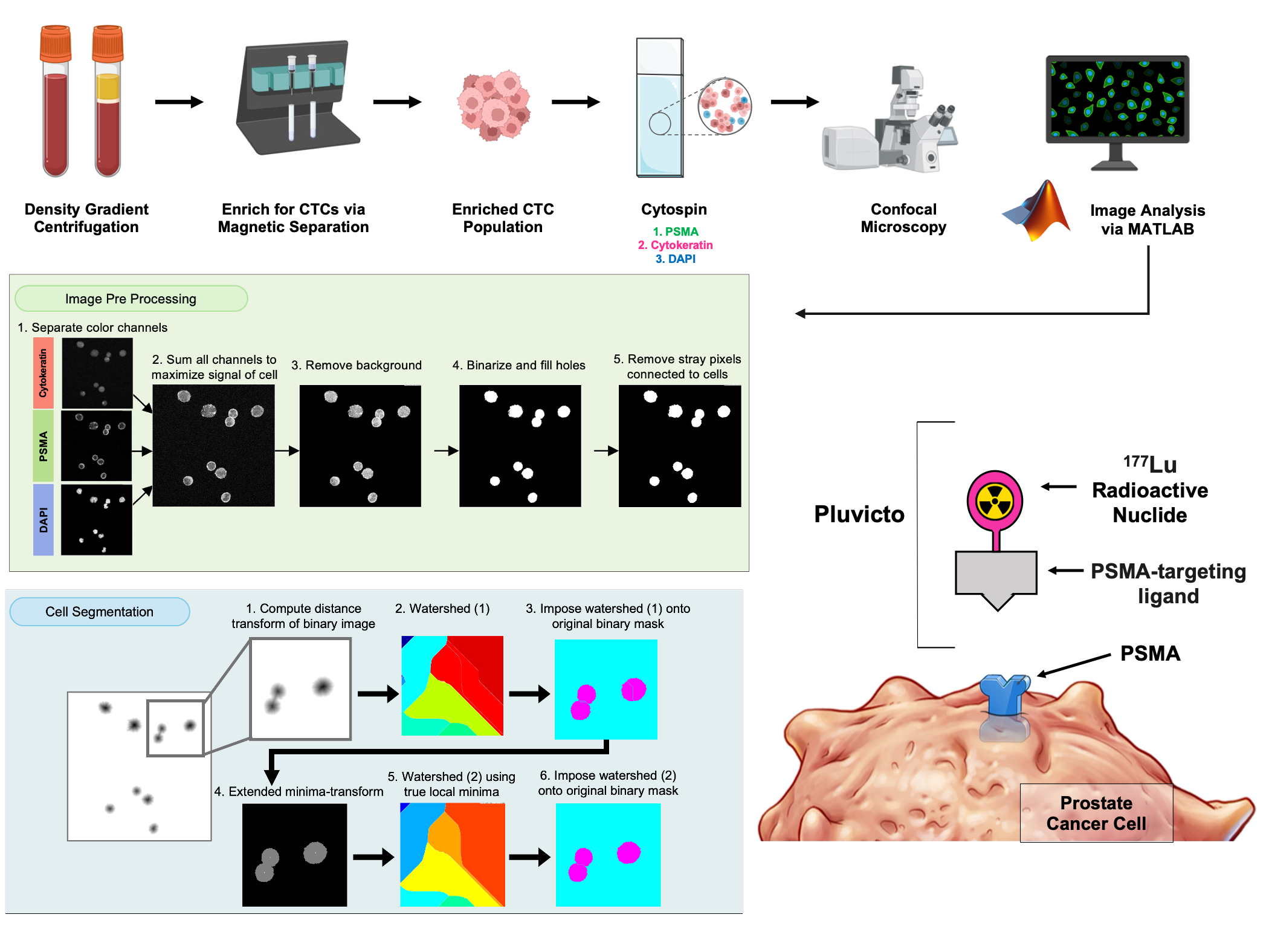 Circulating tumor cells in metastatic prostate cancer — figure