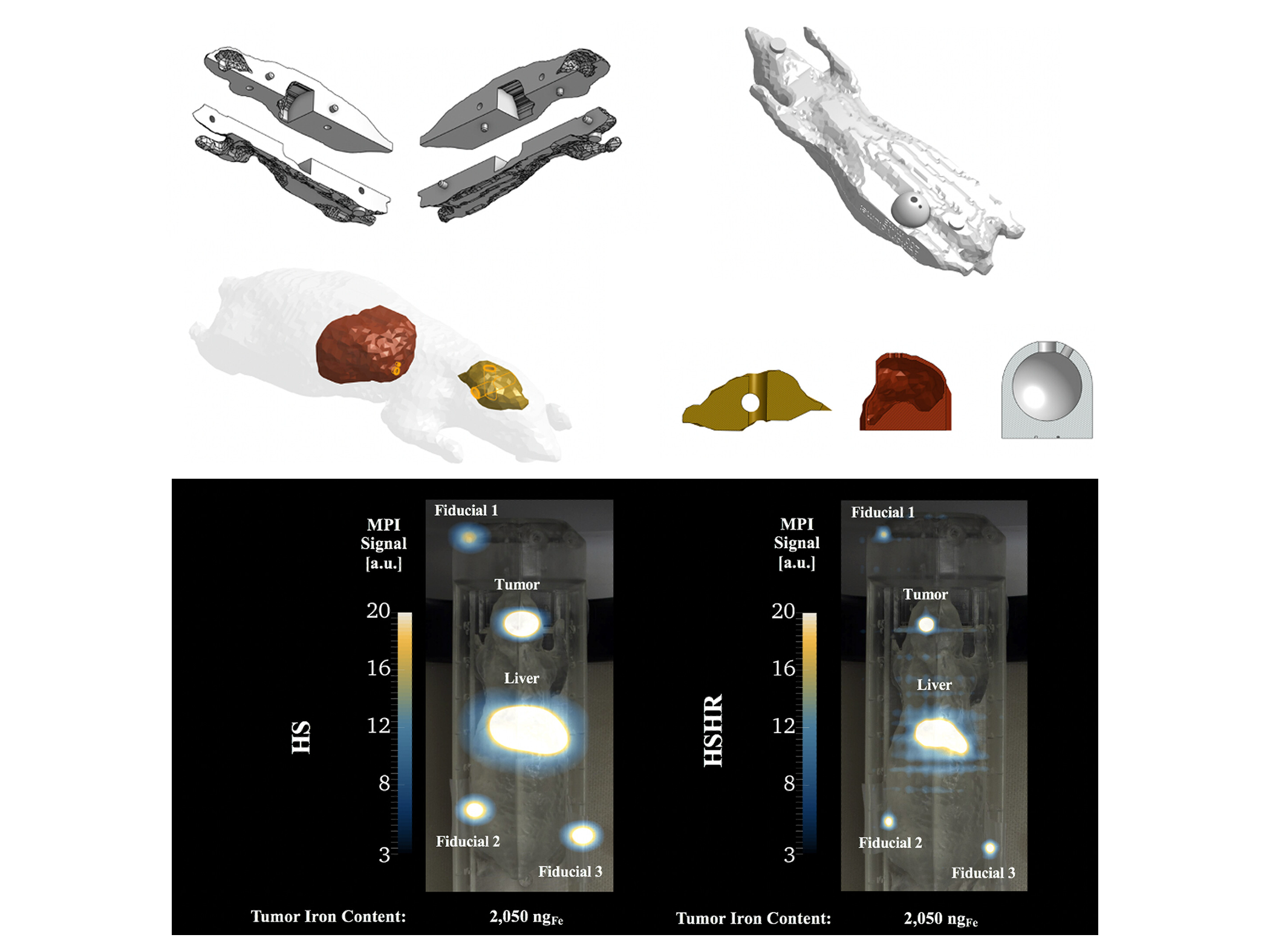 Magnetic particle imaging and nanoparticle tracking — figure